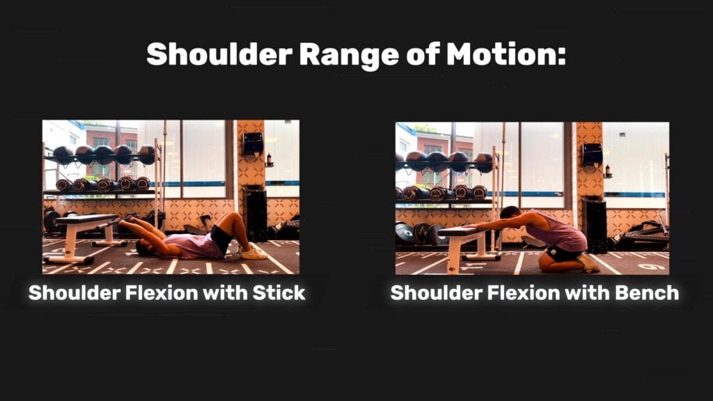 The BEST Shoulder Instability Exercises 3 Sample Programs Gino The BEST Shoulder Instability Exercises 3 Sample Programs Gino
